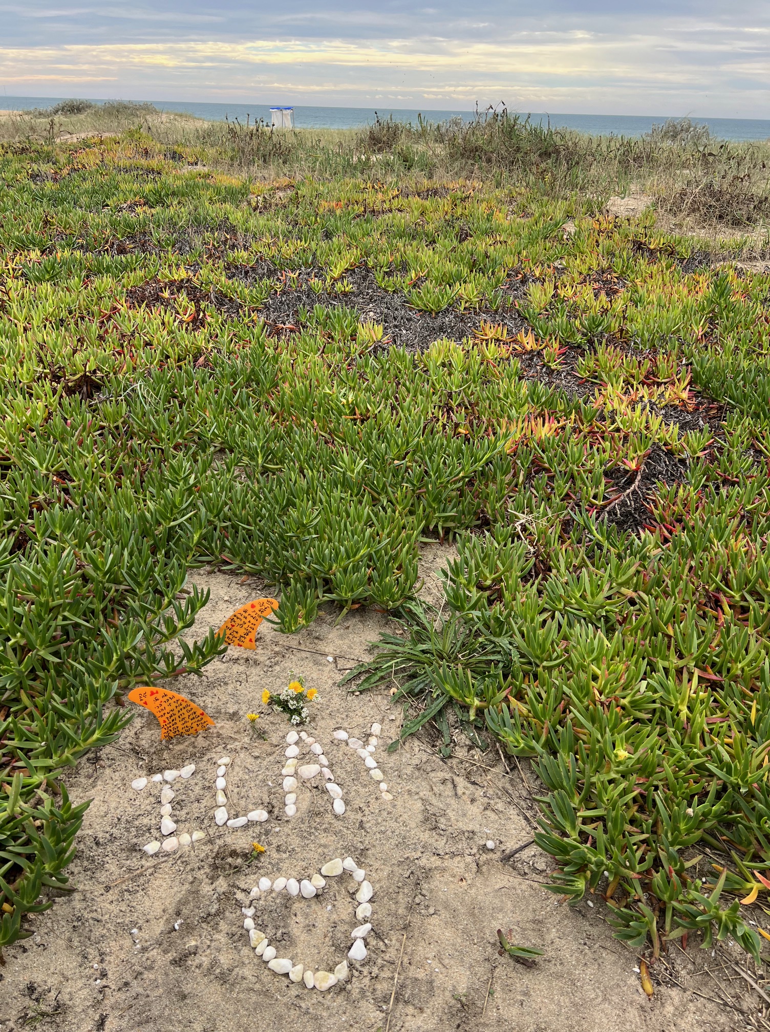 נאזרה - עילי בלב הגלים