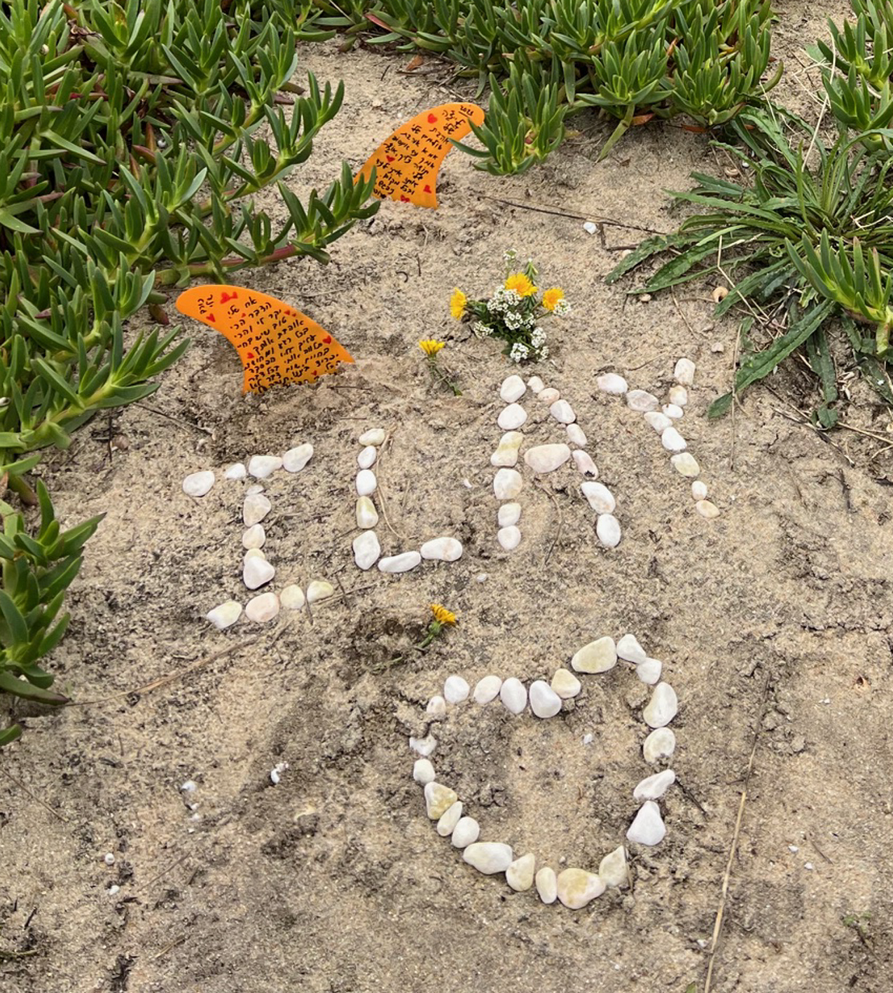 נאזרה - עילי בלב הגלים