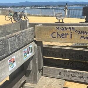 בפינת הנצחה לגולשים, בחוף סנטה קרוז בקליפורניה