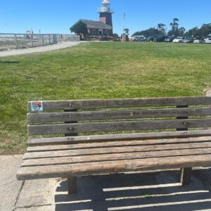 על ספסל בפארק המגדלור, חוף הגולשים בסנטה קרוז, קליפורניה